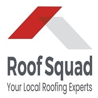  Roof Repair  Squad